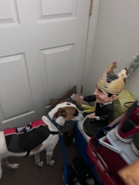 A K9 detection dog inspecting a door area for pests at Pawsitive Identity K9 Services in Worcester, MA.