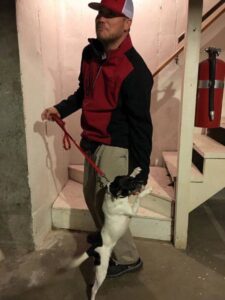 A K-9 unit dog on a leash performing pest detection in a basement for Laser Pest Management, Inc. in Eudora, KS.