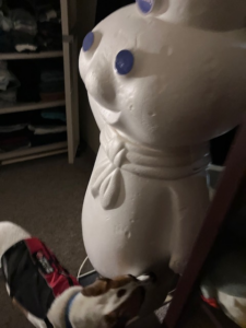 A K9 pest detection dog sniffing a large statue during an inspection by Pawsitive Identity K9 Services in Worcester, MA.