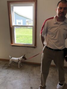 A K-9 unit dog and technician from Laser Pest Management, Inc. performing pest detection inside a property in Eudora, KS.
