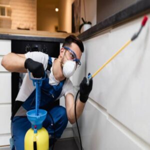 A pest control technician performing extermination service in a kitchen for TOTAL Exterminating Co. Inc. in Indianapolis, IN.