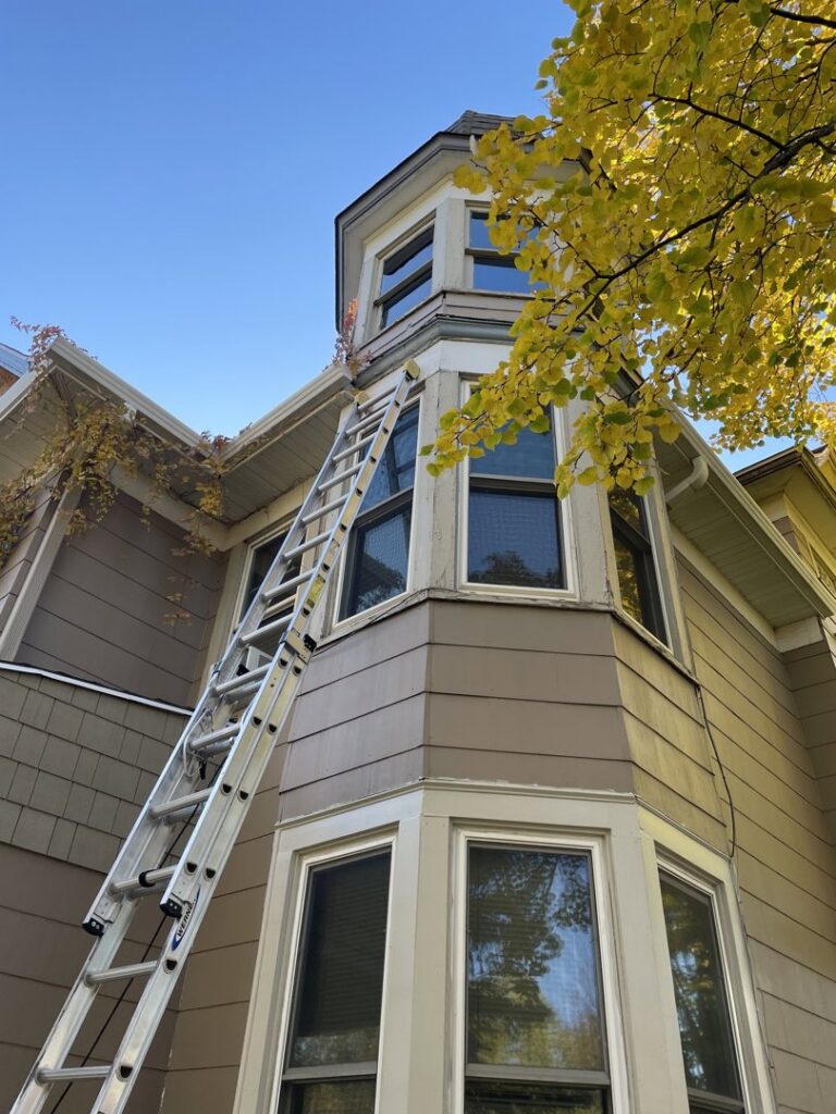 A ladder leaning against a house exterior, indicating wildlife inspection or exclusion work by Prairie Bat Services, LLC in Sioux Falls, SD.