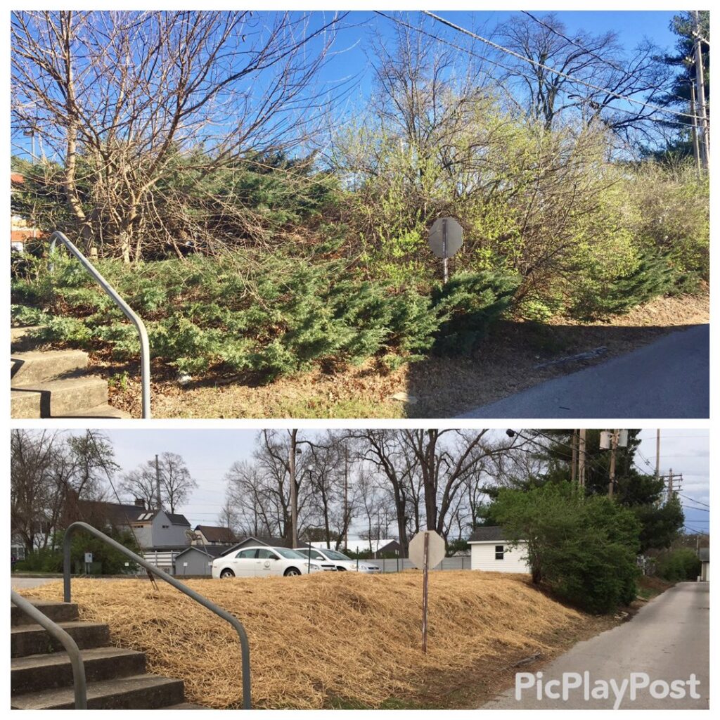 Before and after view of land clearing and straw application for erosion control by Ryan's Lawn Service, LLC in Charlotte, NC.