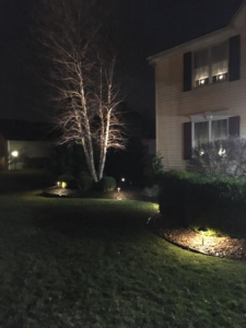 Beautiful landscape lighting illuminating trees and bushes in a residential yard by Creekside Electric in Clarence Center, NY.
