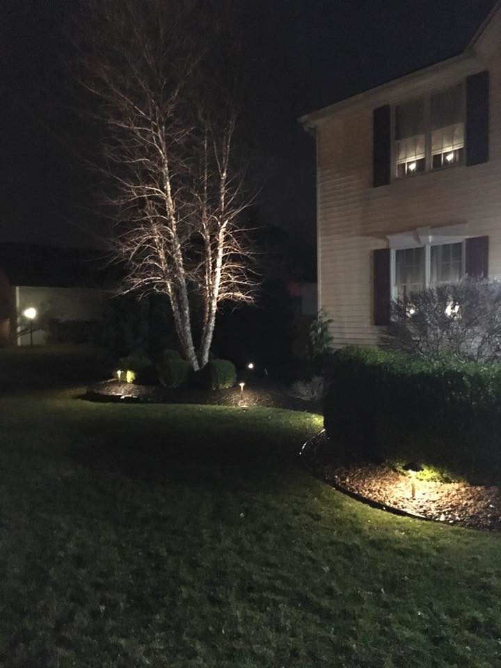 Beautiful landscape lighting illuminating trees and bushes in a residential yard by Creekside Electric in Clarence Center, NY.