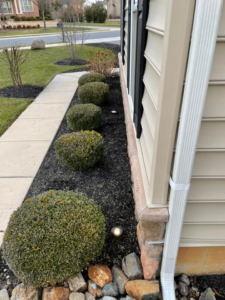 Landscape lighting installed along a residential pathway by K E Troutman Electrical Contractor in Newark, DE.