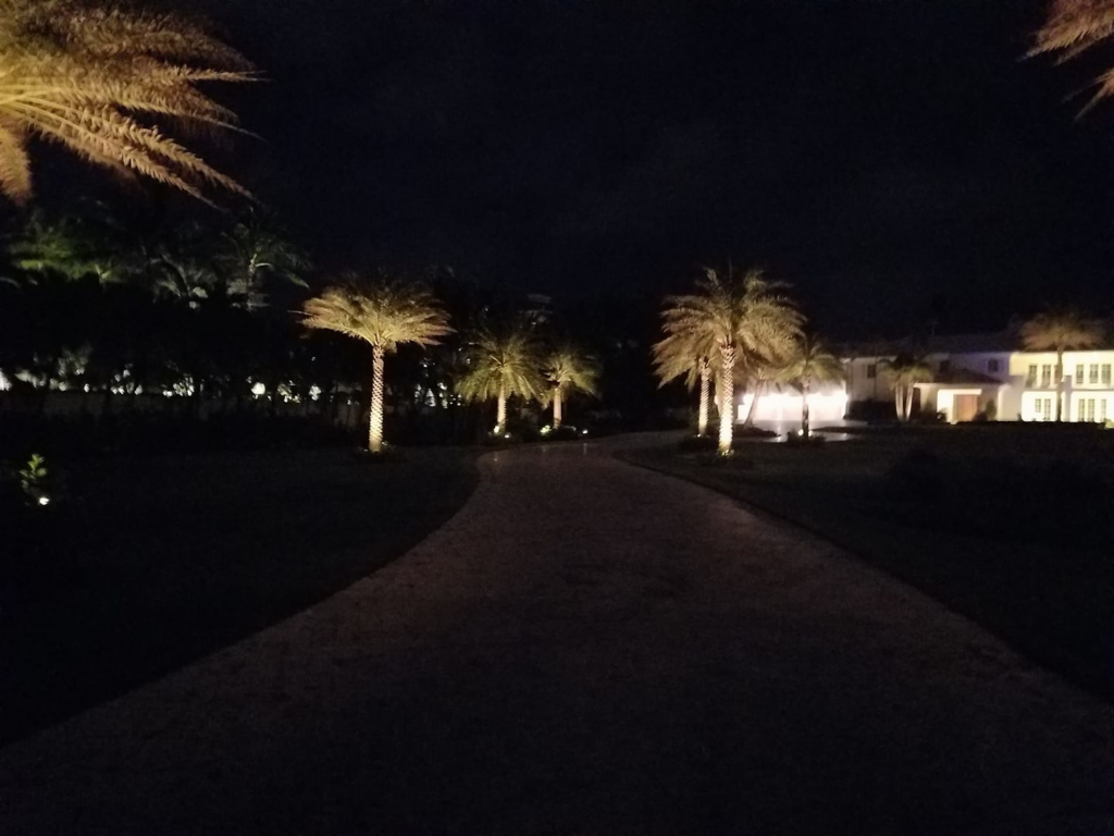 Beautiful landscape lighting illuminating a driveway and palm trees at night by Sound Electrical Services llc in Norwalk, CT.