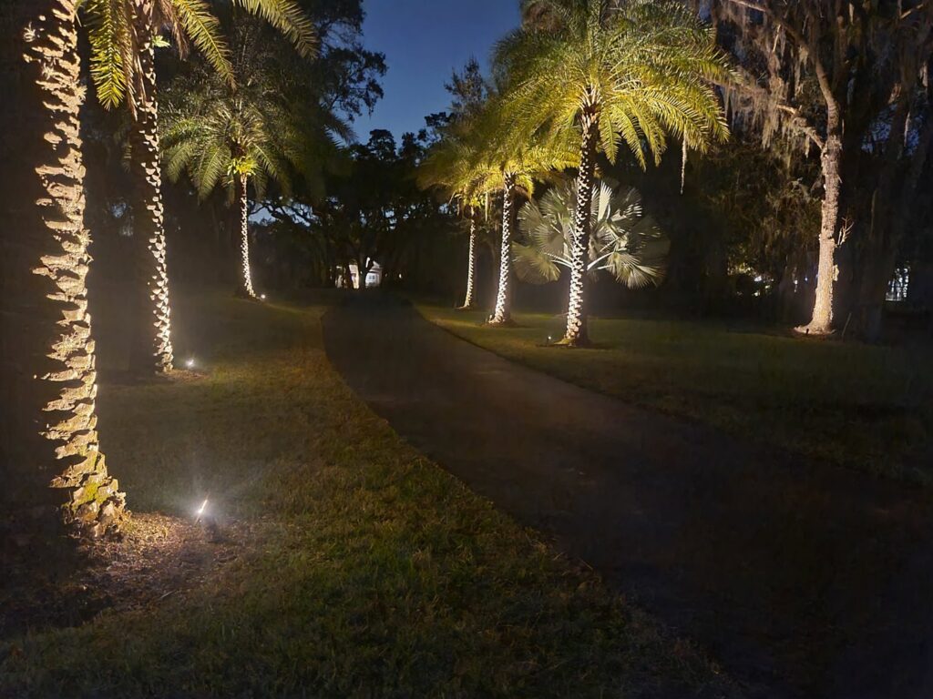 Beautiful landscape lighting installed along a driveway by Wirenut Technologies LLC in Brandon, FL