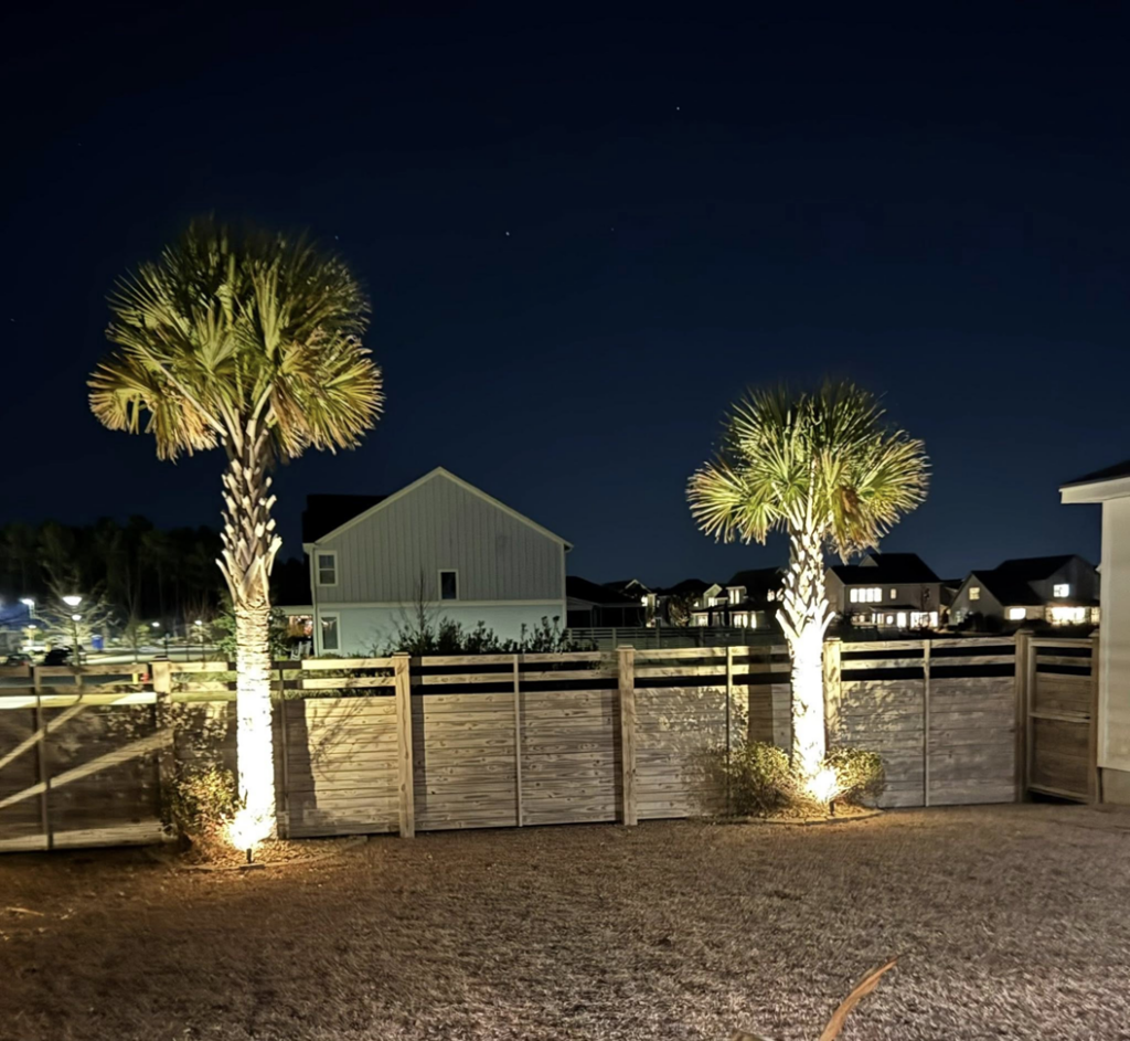 Beautiful landscape lighting illuminating palm trees and a wooden fence at night by Watts Up Electric LLC in Summerville, SC.