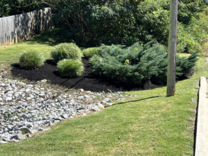 A beautifully landscaped garden bed with various shrubs and dark mulch by All Things Lawncare in Knoxville, TN.