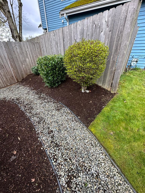 A neatly landscaped garden bed with shrubs and a gravel path, maintained by Martin's Landscaping CO. in Renton, WA.