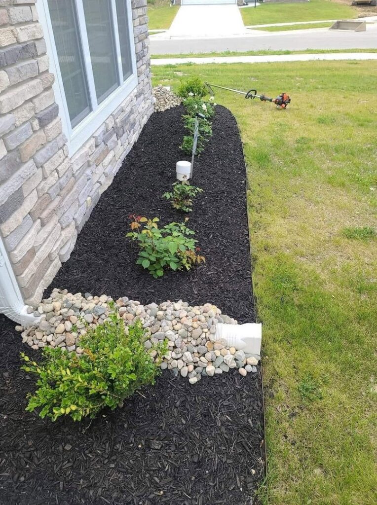A newly mulched landscape bed with small plants and a string trimmer by ALL Lawn Care Service in Saint Louis, MO