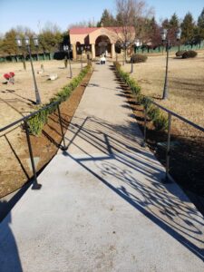 A concrete pathway with newly planted shrubs along the sides by GAMAS Lawn Care Services in Tulsa, OK.