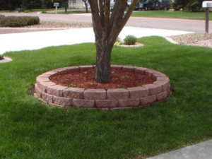 A neatly landscaped tree ring with mulch and a brick border on a vibrant green lawn by RMMLS in Colorado Springs, CO.