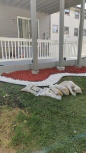 Landscaping under a deck featuring red mulch and white decorative stones, a service by K&R Lawn Care in Pass Christian, MS.