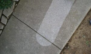 A professional cleaning a large patterned area rug for Two Sheas Restoration in Tulsa, OK.