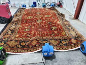 A large area rug being dried with professional air movers by The Carpet Chemist in Louisville, KY.