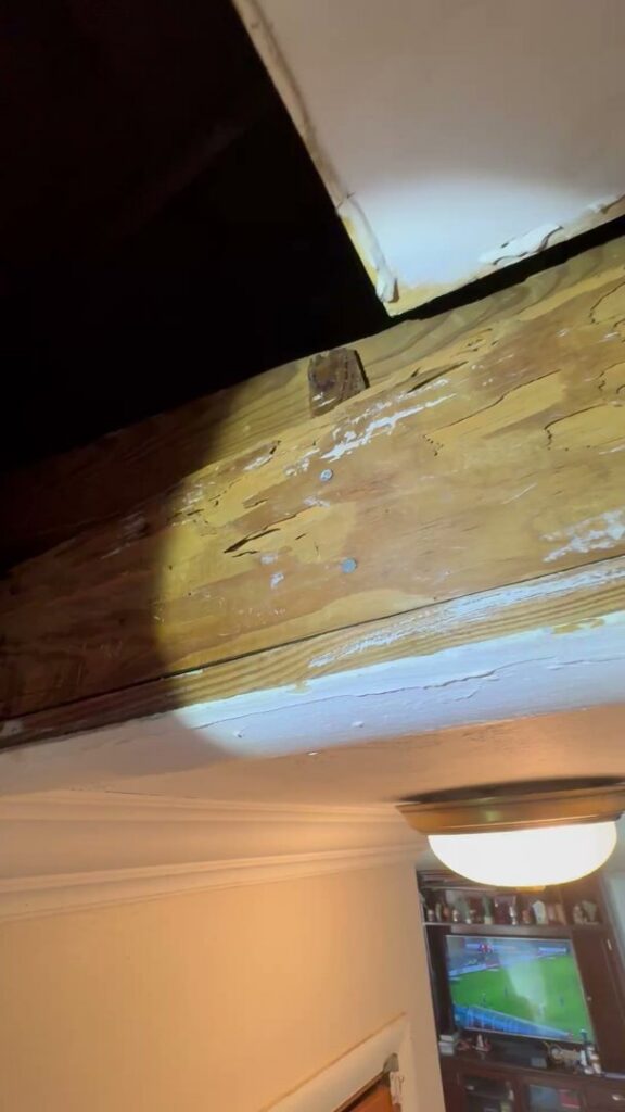 A large beehive or wasp nest visible under the eaves of a house, indicating a pest control job for Sure Shot Pest Solutions in Fort Lauderdale, FL.