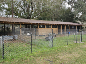 A large chain-link animal enclosure with a covered structure and gate by The Johnson Family Fencing in Tampa, FL.
