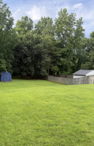 A large, vibrant green lawn, meticulously maintained by Elite Landscaping Crew in Auburn, AL.