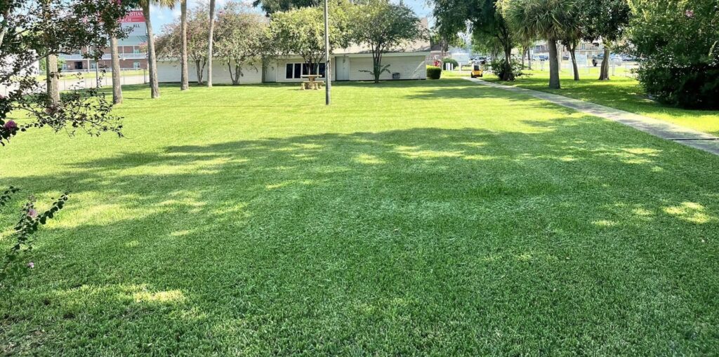 A wide view of a large, lush green lawn, showcasing professional lawn maintenance by God's Sight Lawn & Gardens LLC in New Orleans, LA