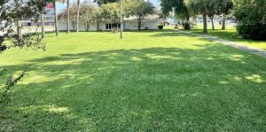 A wide view of a large, lush green lawn, showcasing professional lawn maintenance by God's Sight Lawn & Gardens LLC in New Orleans, LA
