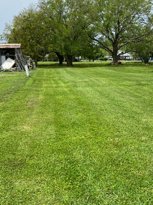 A large, vibrant green lawn recently mowed by Thibodeaux's Lawn Care & Power Washing llc in Houma, LA.