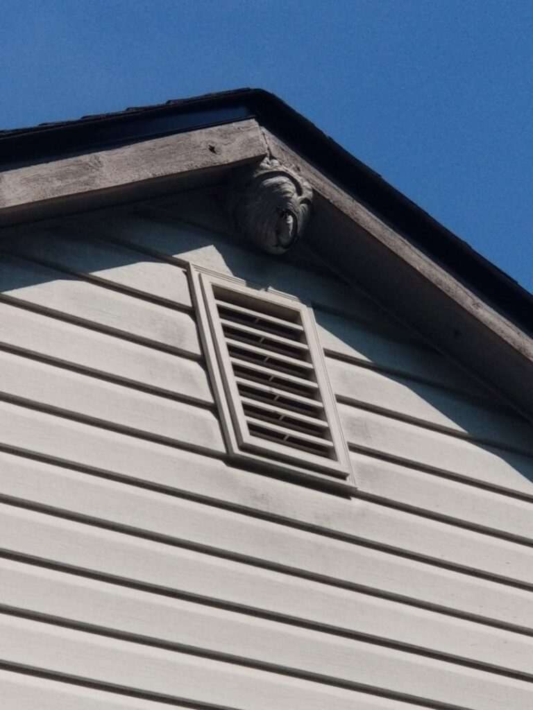 A large hornet's nest visible under the eaves of a house, requiring pest control services from Stryker Pest Control LLC in Columbus, OH.