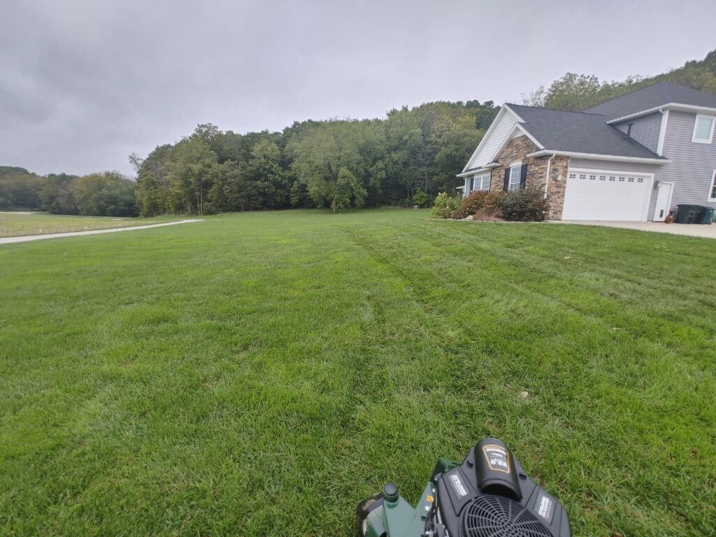 A large residential lawn being prepared for or after aeration service by Mr. B's Lawn Aeration in Lafayette, IN.