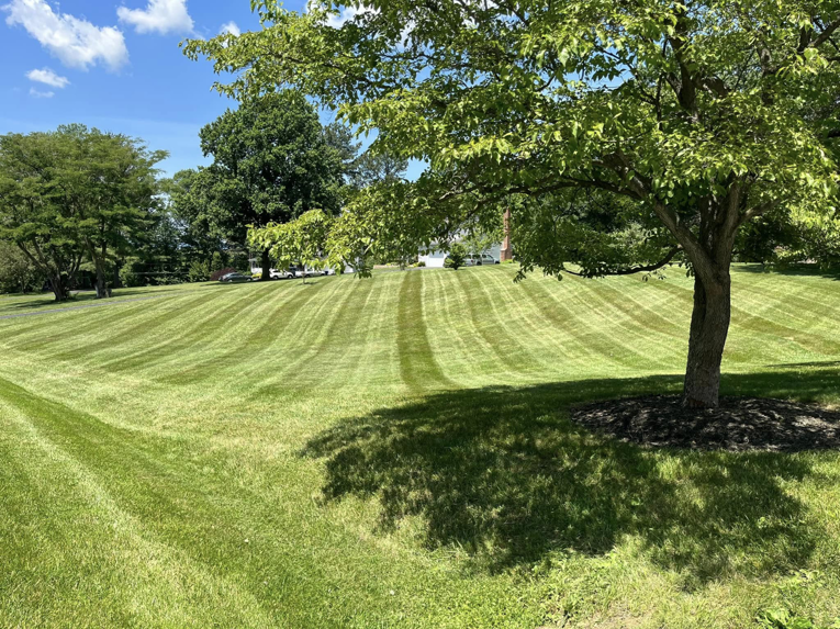 Expansive lawn with perfectly cut mowing stripes, a service provided by As Green Lawncare and Landscaping LLC in Frederick, MD.