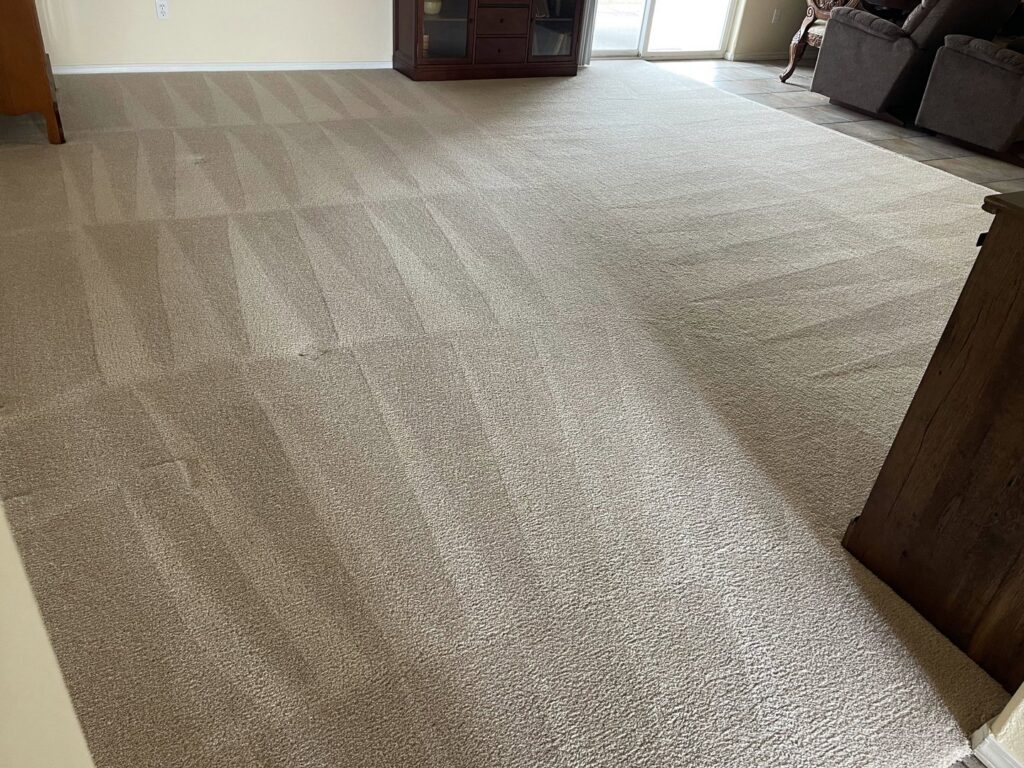 A large living room with a freshly cleaned carpet showing distinct vacuum lines by Carpet PRO Cleaner in Cary, NC.