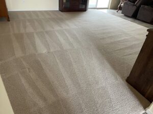 A large living room with a freshly cleaned carpet showing distinct vacuum lines by Carpet PRO Cleaner in Cary, NC.
