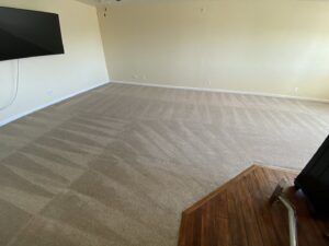 A large living room with a freshly cleaned carpet showing distinct vacuum lines by Carpet PRO Cleaner in Cary, NC.