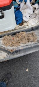 A large pile of dirt and debris collected from carpet cleaning, demonstrating the thorough service of Exceptional Carpet Care in Rochester, MN.