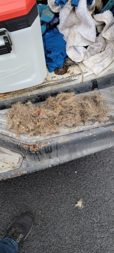 A large pile of dirt and debris collected from carpet cleaning, demonstrating the thorough service of Exceptional Carpet Care in Rochester, MN.