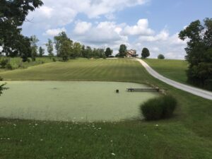 A large property with a mowed lawn and a pond in the foreground, maintained by Ryan's Lawn Service, LLC in Charlotte, NC.