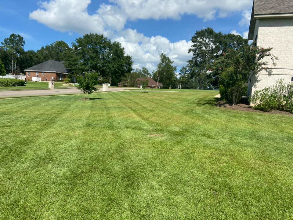 A large residential lawn with fresh mowing stripes, cared for by NewLeaf Lawn Care LLC in Dothan, AL.