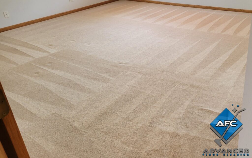 A large room with light-colored carpet showing fresh cleaning patterns by Advanced Floor Cleaning, Inc. in Elgin, IL