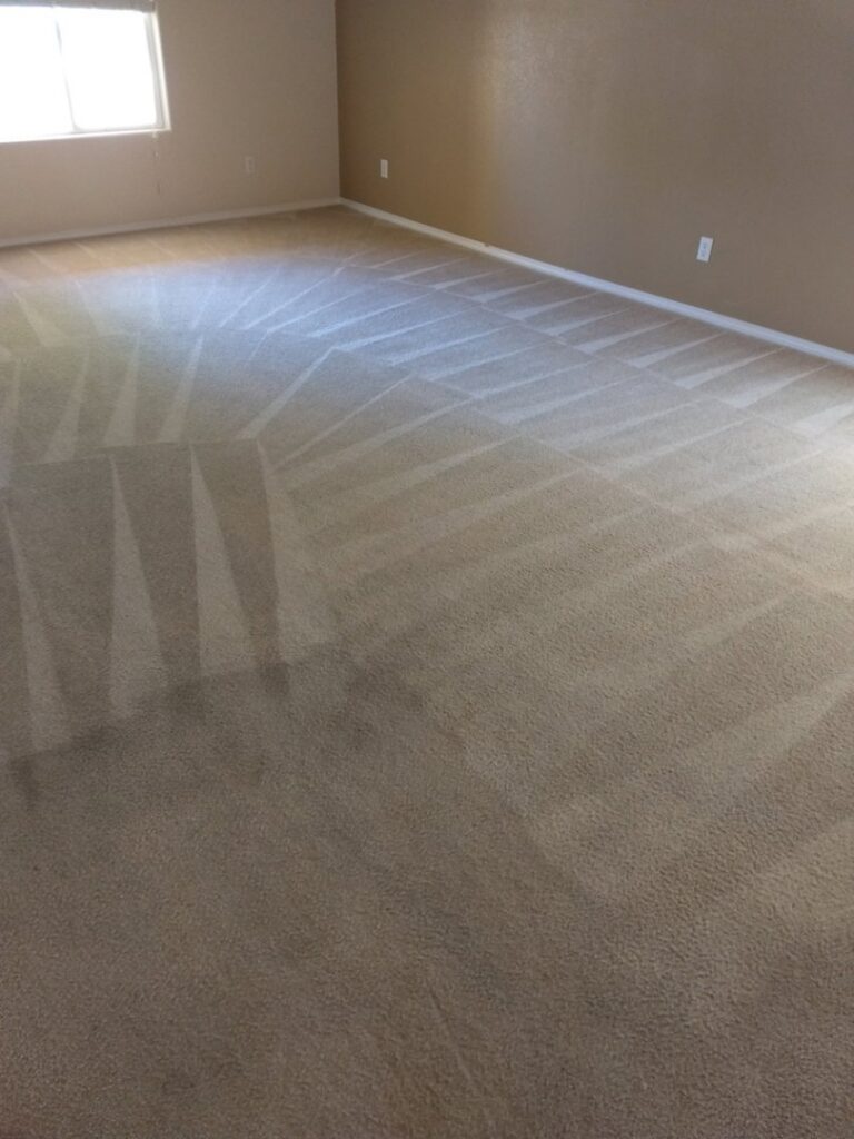 A large room with freshly cleaned carpet showing professional cleaning patterns by Carpet Masters of Albuquerque, NM.