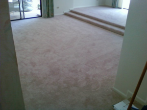 A spacious room with new light brown carpet, including a raised section, installed by Magick Flooring Installs in Phoenix, AZ