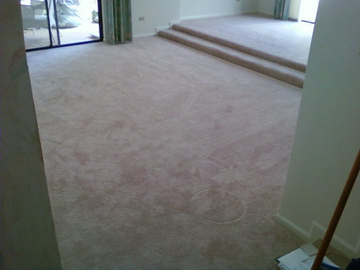 A spacious room with new light brown carpet, including a raised section, installed by Magick Flooring Installs in Phoenix, AZ