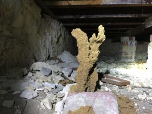 A large termite mound structure found in a crawl space, indicating active termite infestation for Stewarts Pest Control Perth, WA.