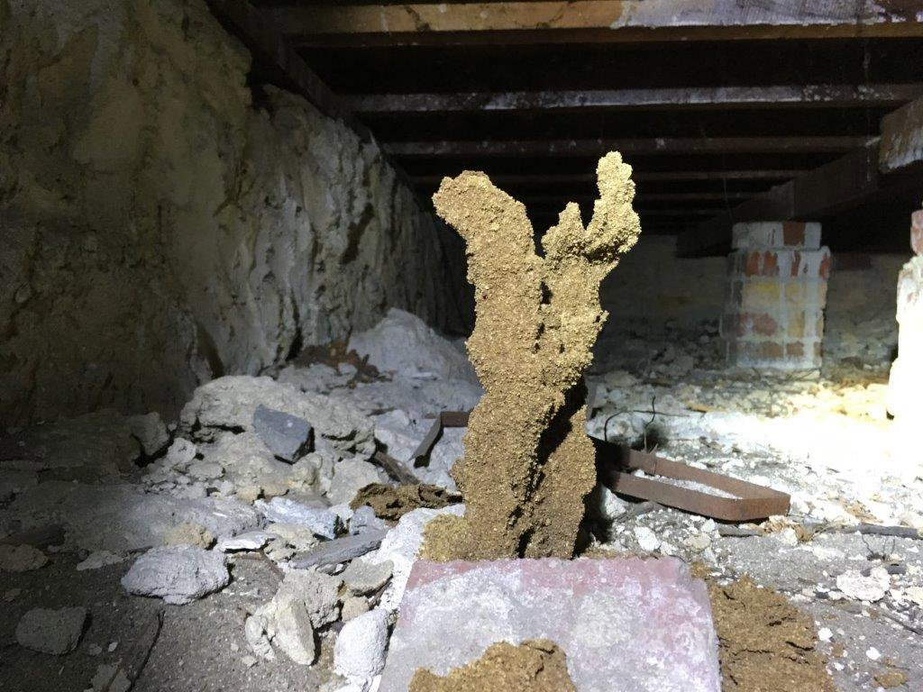 A large termite mound structure found in a crawl space, indicating active termite infestation for Stewarts Pest Control Perth, WA.