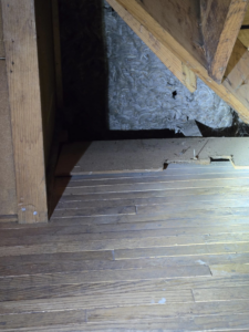 A large wasp nest visible in an attic space, indicating a pest control need addressed by Stryker Pest Control LLC in Columbus, OH.