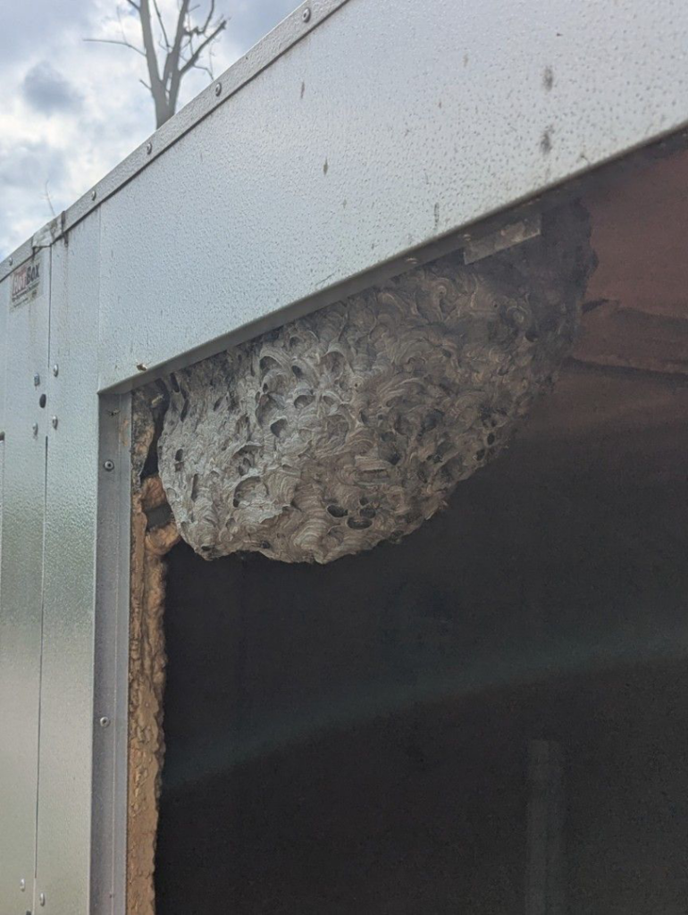 A large wasp nest built into the side of a building, indicating a pest control job by Kulyk Exterminators Inc in Buffalo, NY.