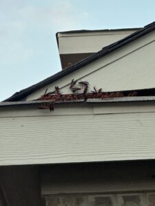 A large cluster of wasps and their nest visible under the eaves of a residential house, indicating a pest control job for Beeline Pest Control Texas in San Antonio, TX.