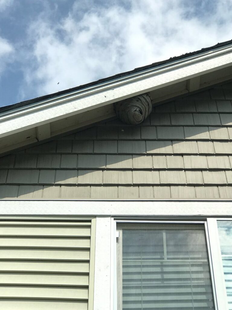 A large wasp nest visible under the eaves of a residential house, indicating a pest control need for Nature Shield Pest & Lawn in Meridian, ID.