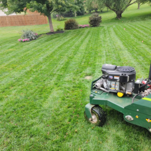 A professional lawn aeration machine creating stripes on a healthy green lawn by Mr. B's Lawn Aeration in Lafayette, IN.