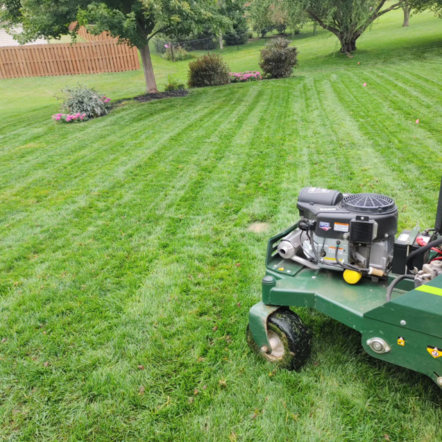 A professional lawn aeration machine creating stripes on a healthy green lawn by Mr. B's Lawn Aeration in Lafayette, IN.