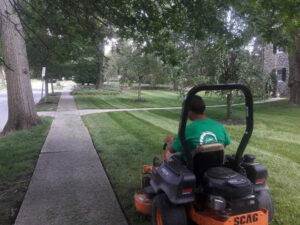 A lawn care professional on a riding mower creating neat stripes for John's Lawn Care Service's in Saint Petersburg, FL